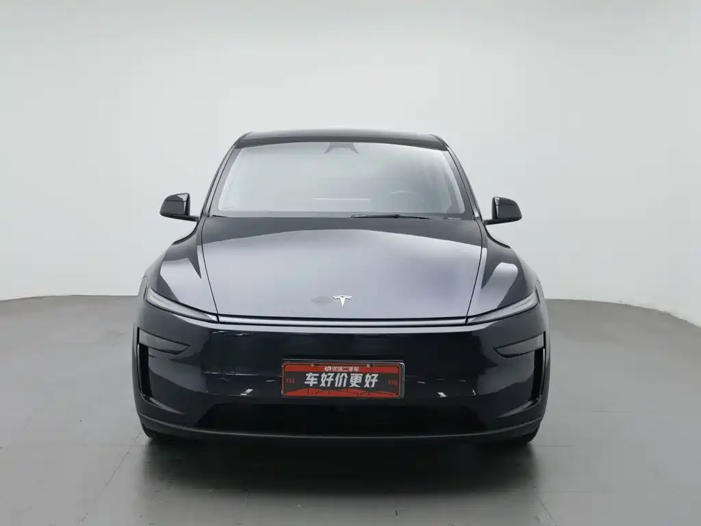Tesla Model Y — миниатюра 3