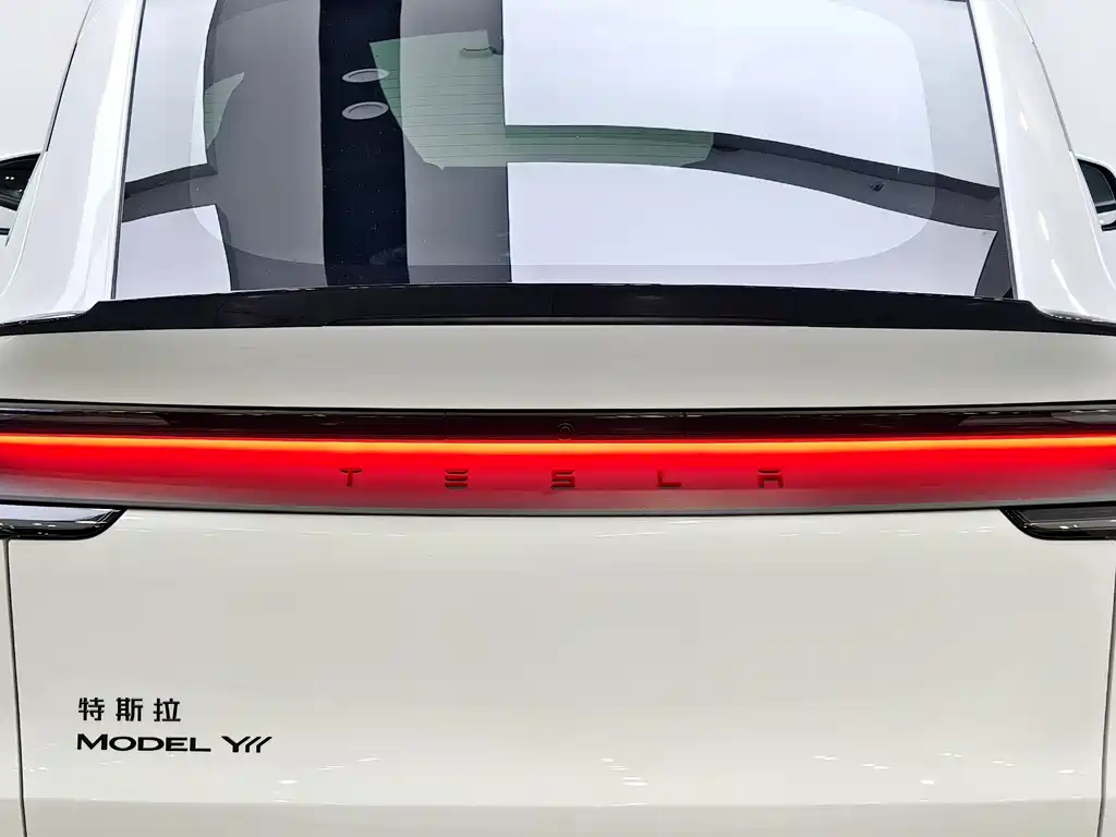 Tesla Model Y L