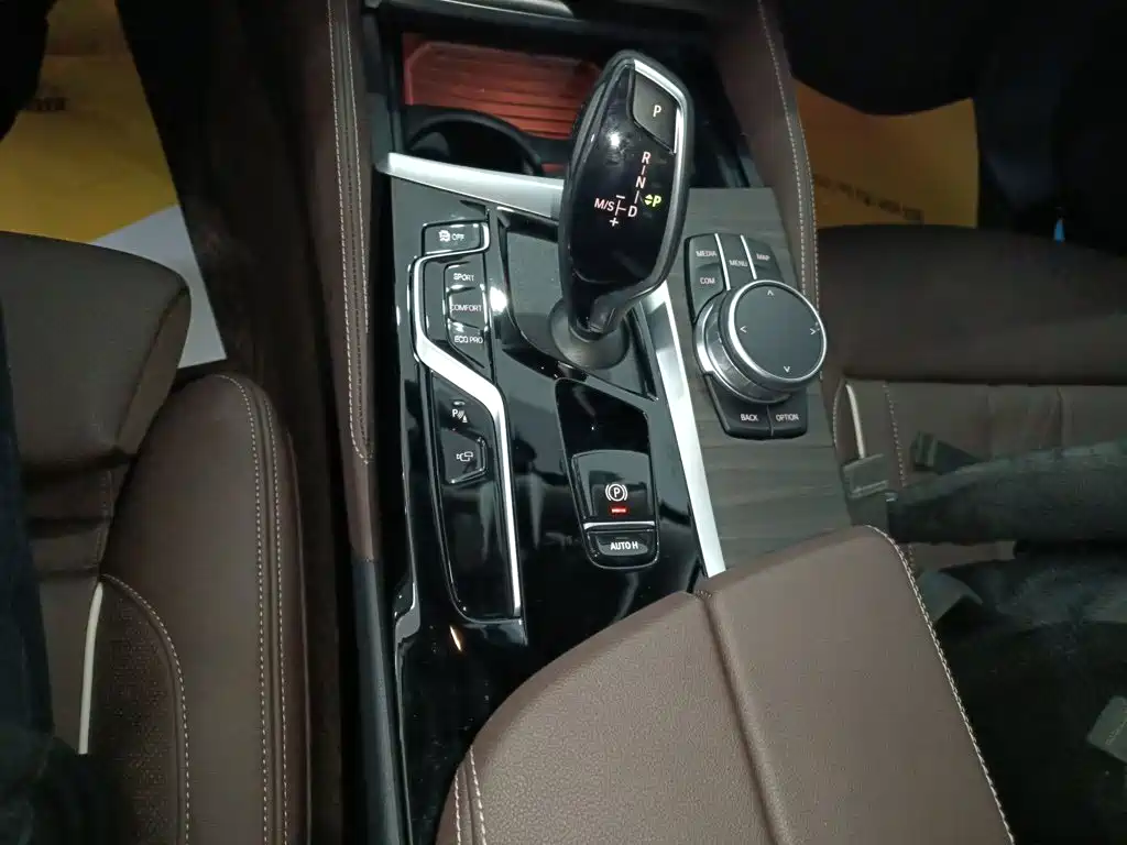 BMW 5 Series 5 2022 530Li Premium Luxury