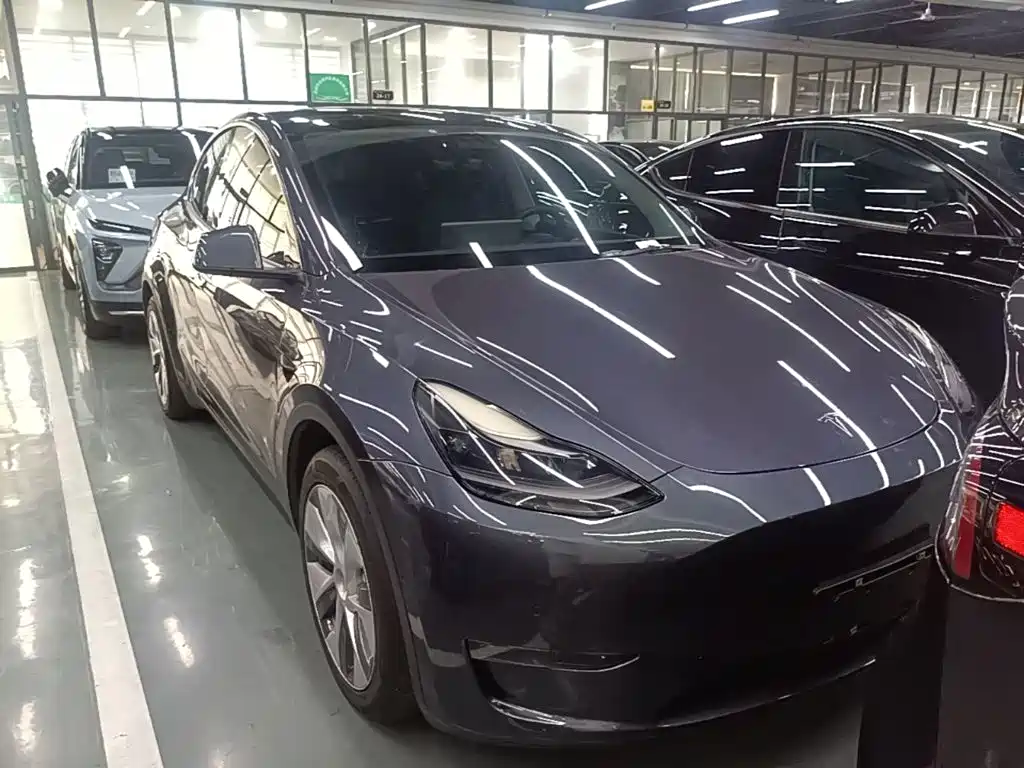 Tesla Model Y — миниатюра 4