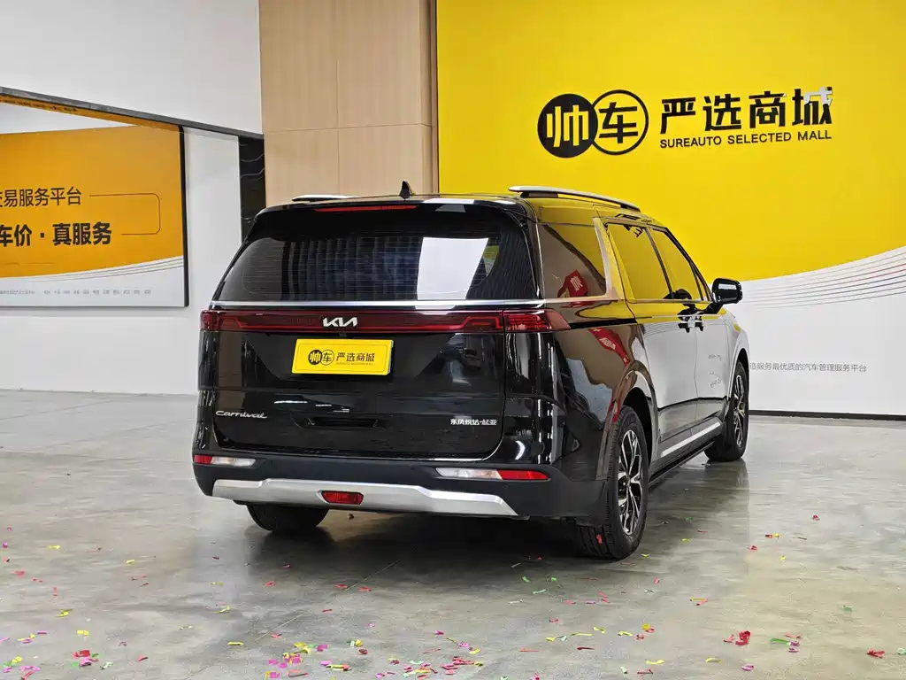 Kia Carnival — миниатюра 6