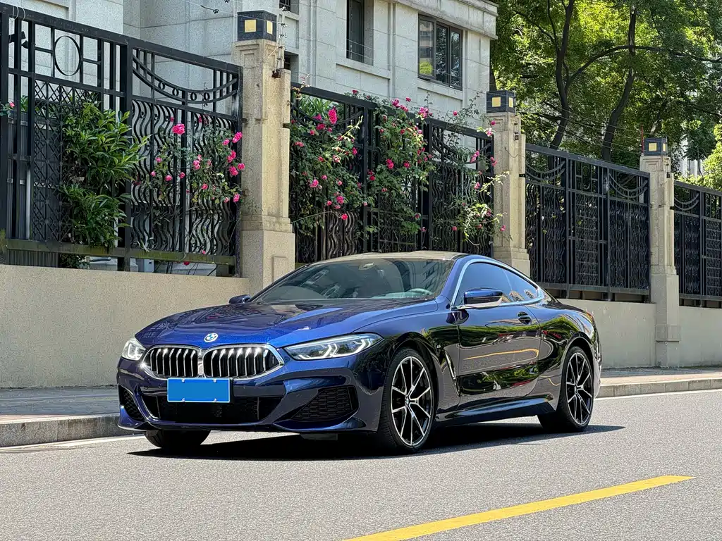BMW 8 Series 2020