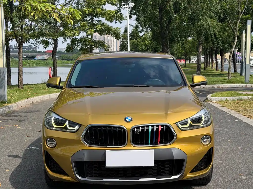 BMW X2 (Import) — миниатюра 2