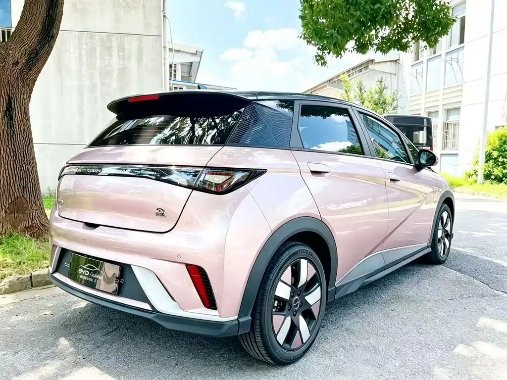 BYD Dolphin — миниатюра 7