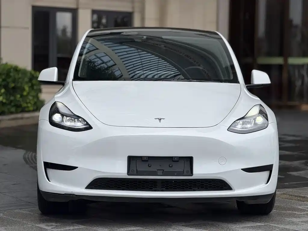 Tesla Model Y — миниатюра 2