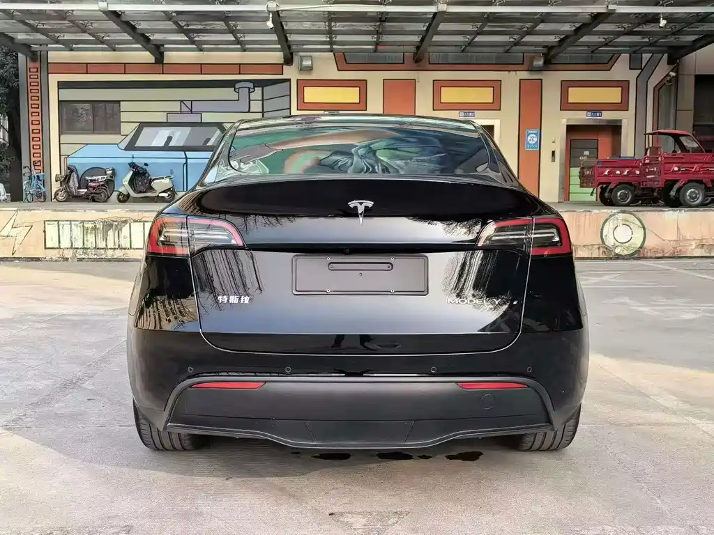 Tesla Model Y — миниатюра 8