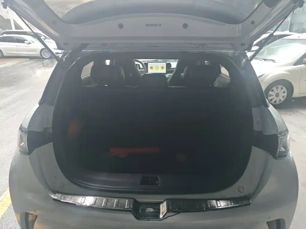 BYD Dolphin — миниатюра 19