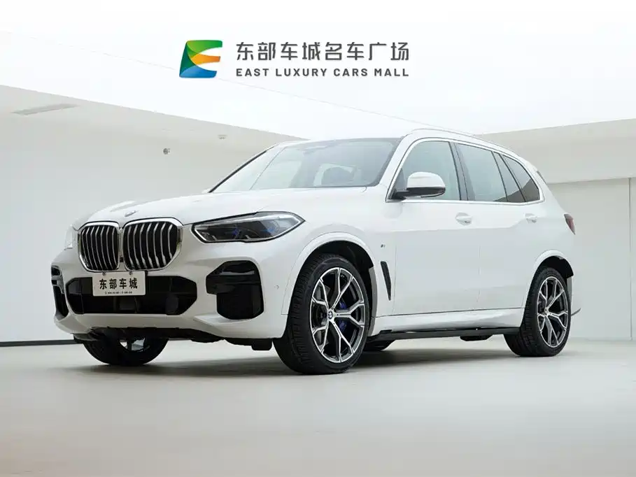 BMW X5 Import