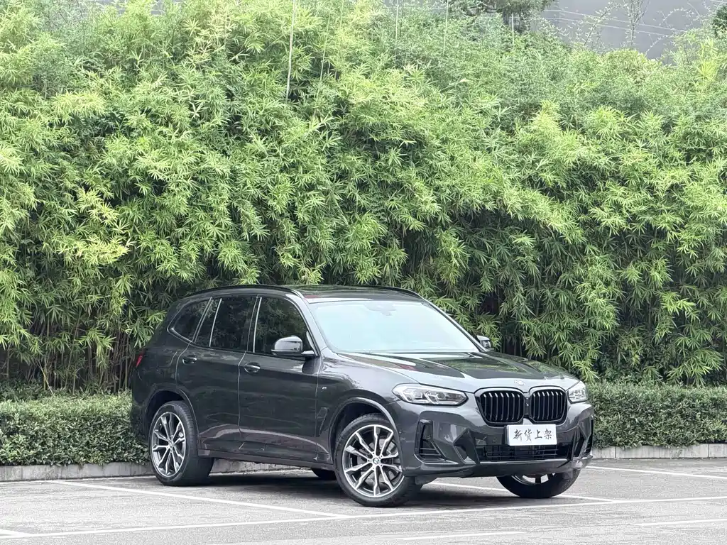 BMW X3 — миниатюра 3