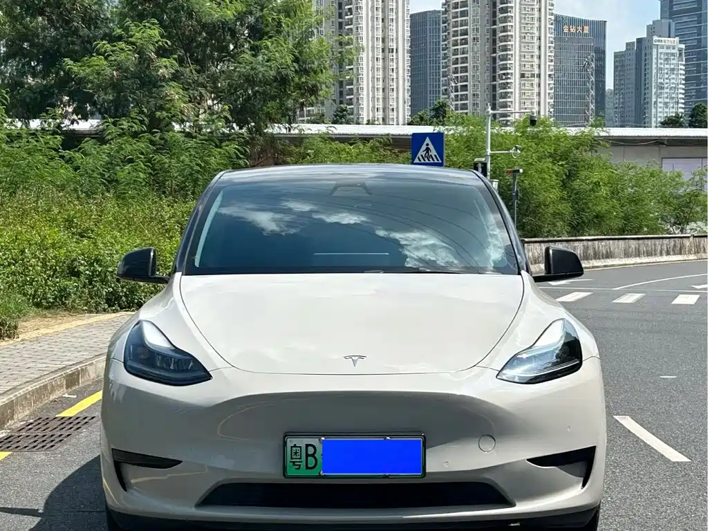 Tesla Model Y — миниатюра 2