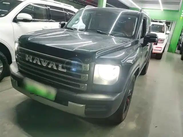 HAVAL  RAPTORS NEW ENERGY 2025