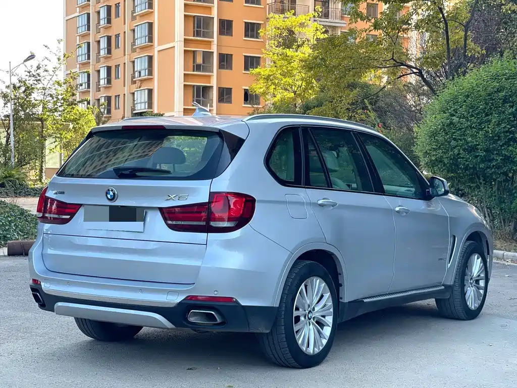 BMW X5 New Energy (Import) — миниатюра 9