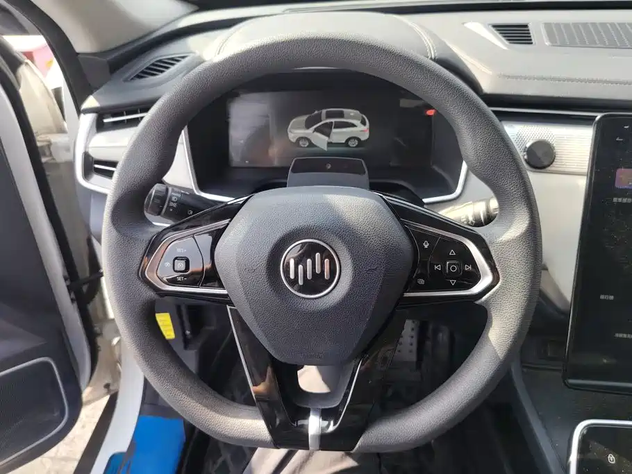 WM Motor EX5 — миниатюра 15