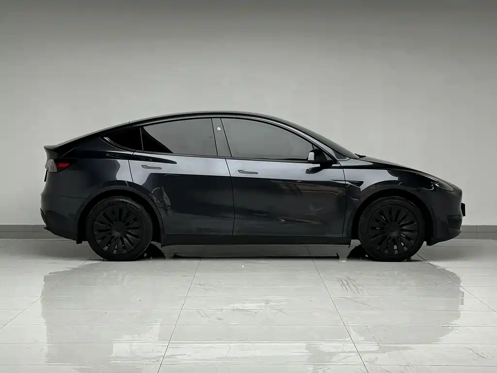 Tesla Model Y — миниатюра 4