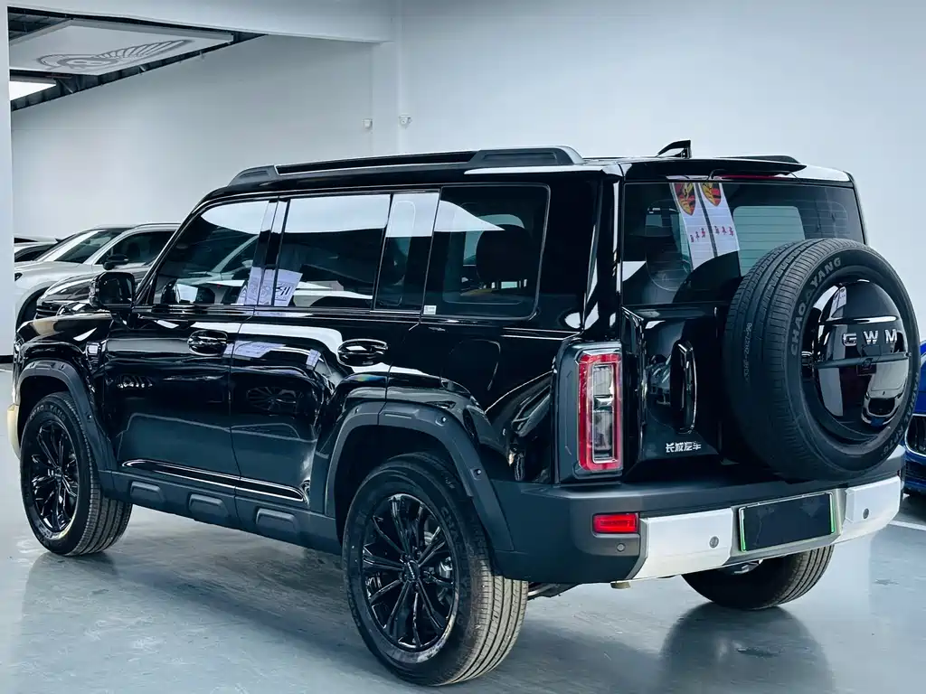 Haval Menglong New Energy — миниатюра 13