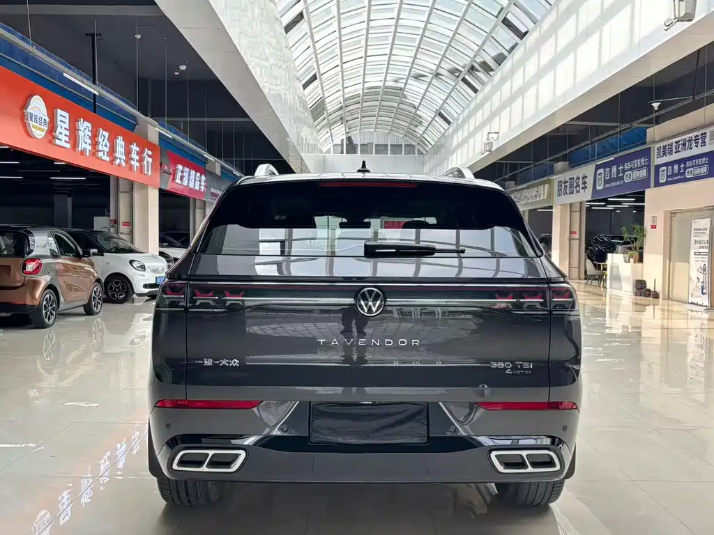 Volkswagen Tavendor — миниатюра 5