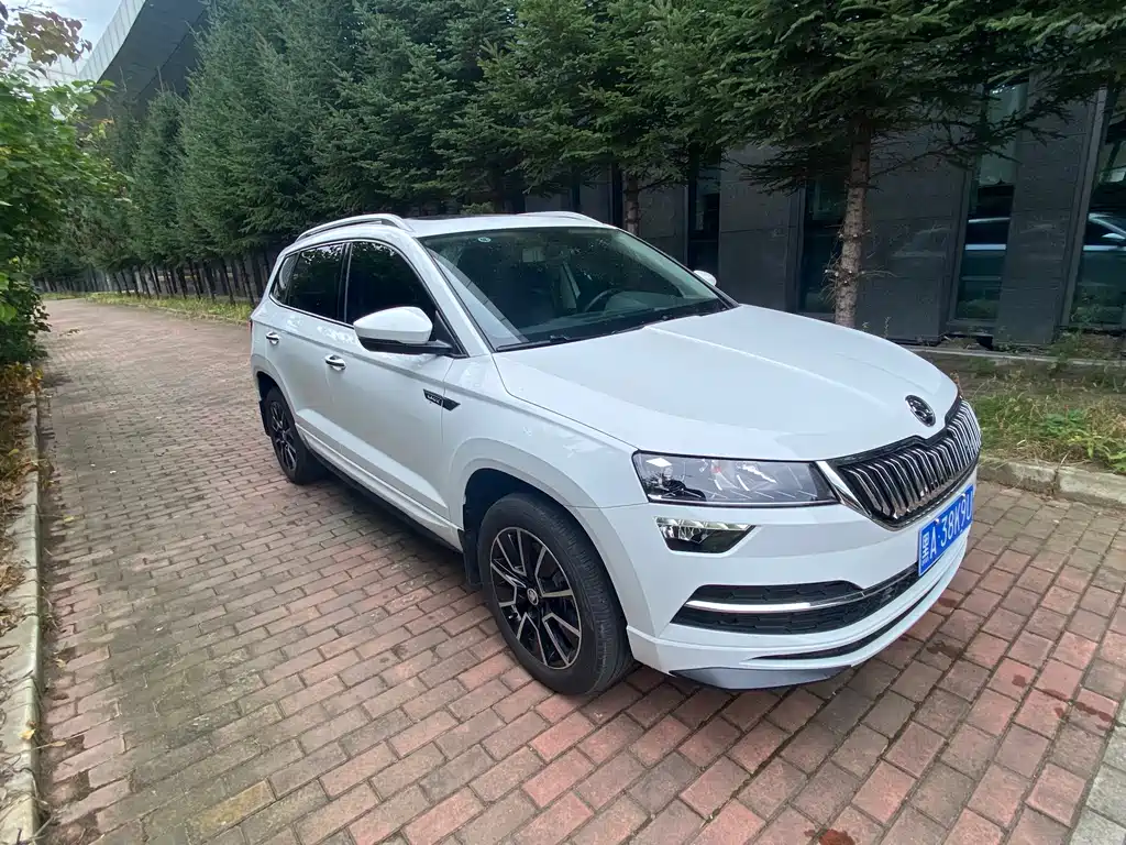 Skoda Karoq — миниатюра 3