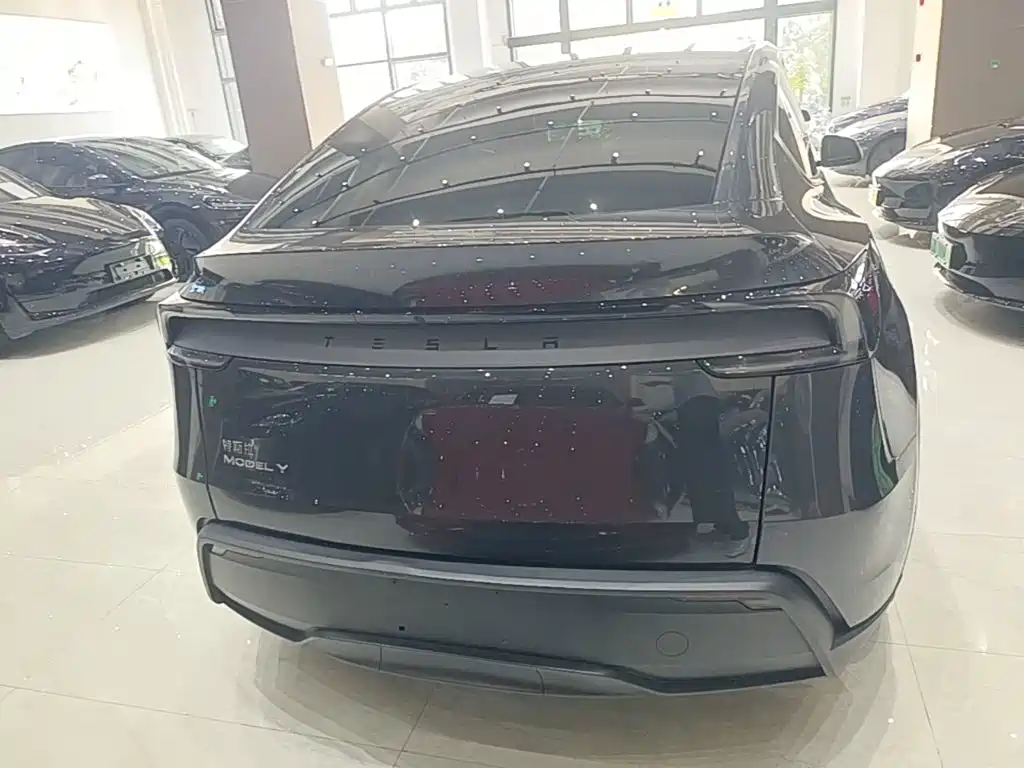 Tesla Model Y — миниатюра 6