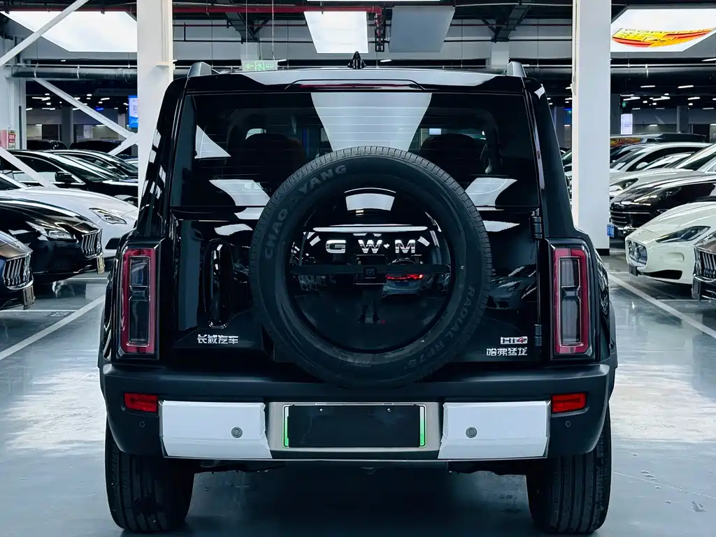 Haval Menglong New Energy — миниатюра 14