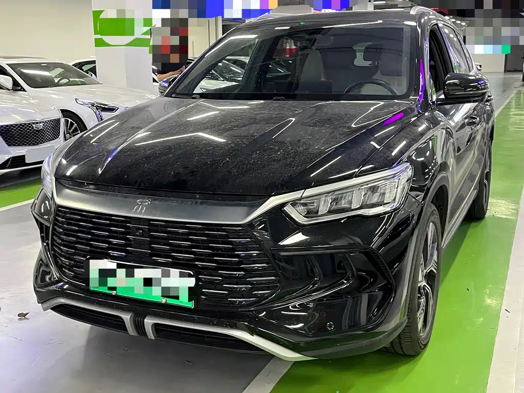 Byd Pro New Energy 2024