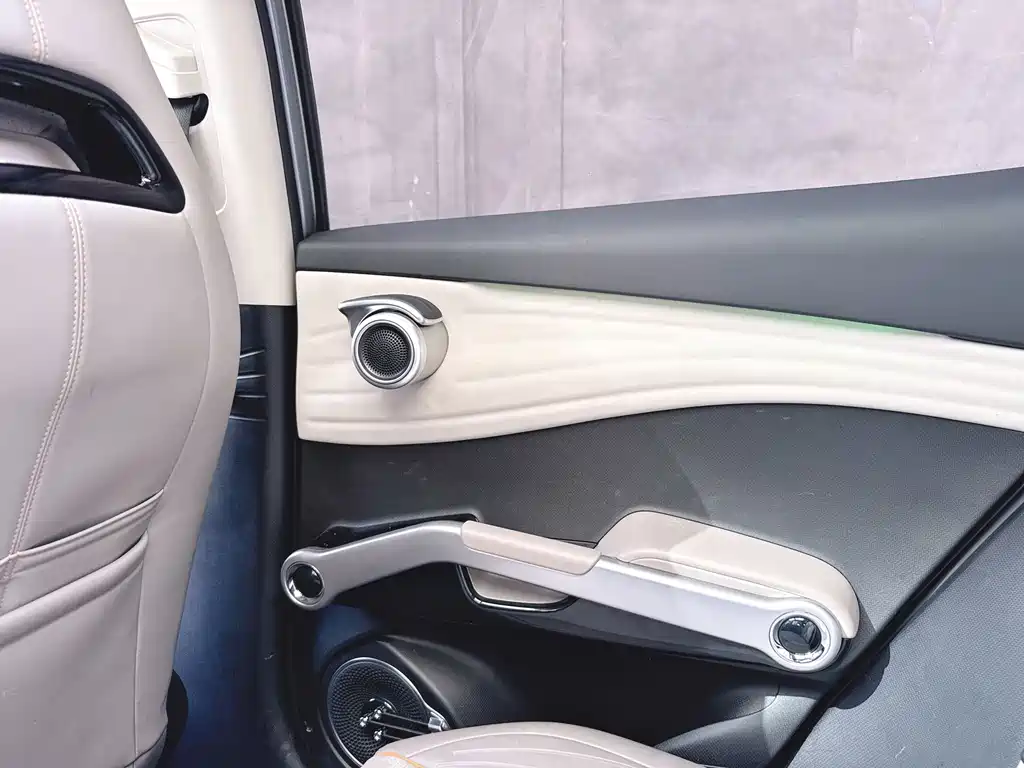 BYD Yuan Plus — миниатюра 20