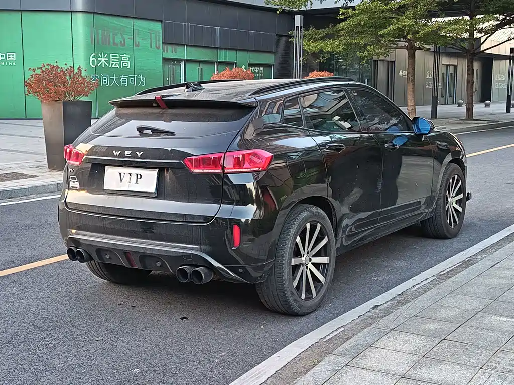 WEI PAI WEI BRAND VV7