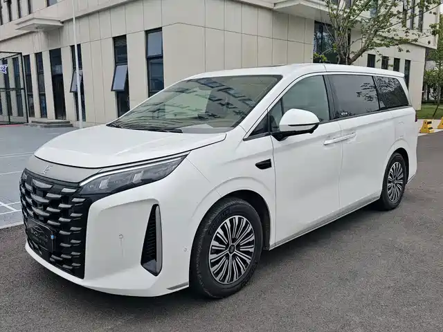 2025 BYD