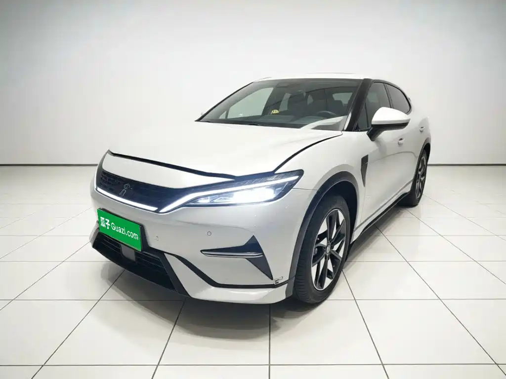 BYD L EV