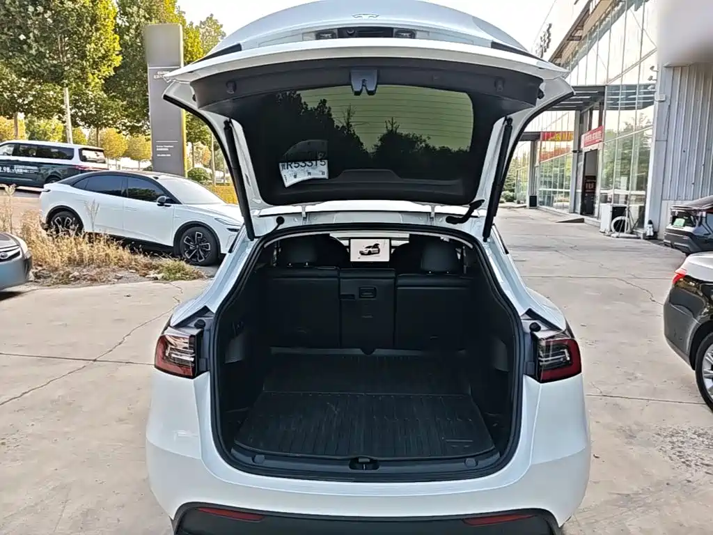 Tesla Model Y — миниатюра 19