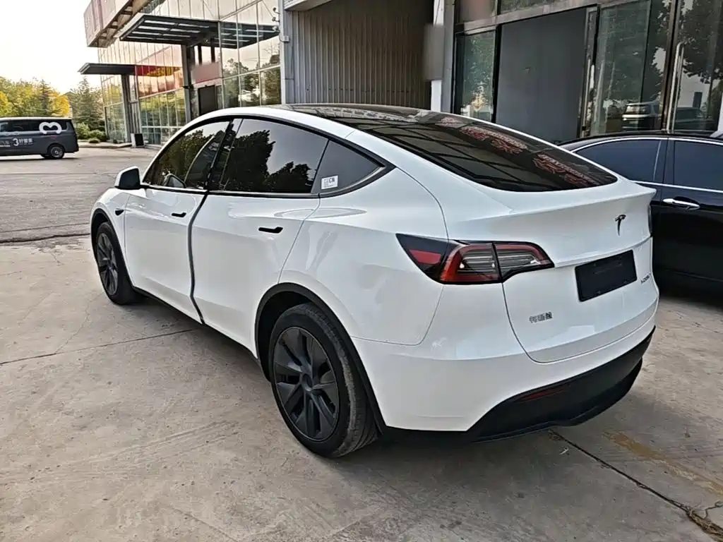 Tesla Model Y — миниатюра 5