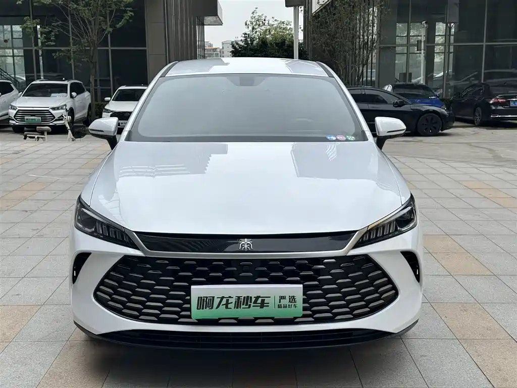 BYD Qin Plus PLUS 2025 DM-i Smart Drive 55KM Lead