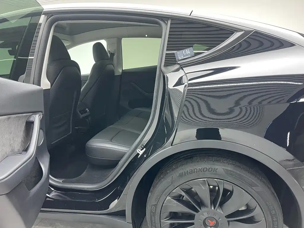 Tesla Model Y — миниатюра 17
