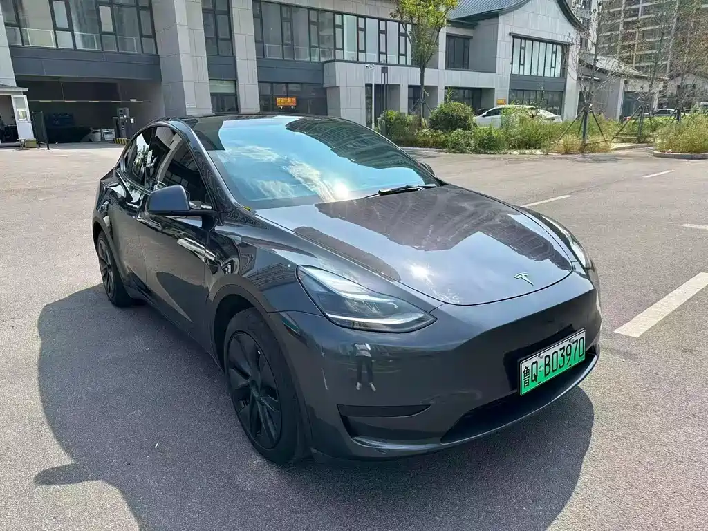 Tesla Model Y — миниатюра 2