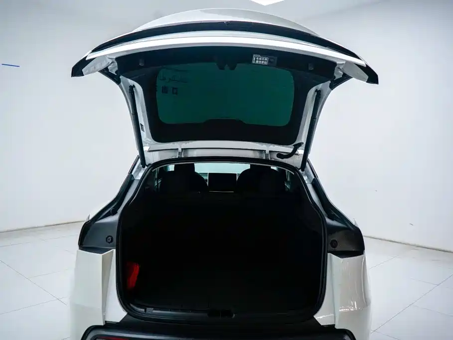 Tesla Model Y — миниатюра 8