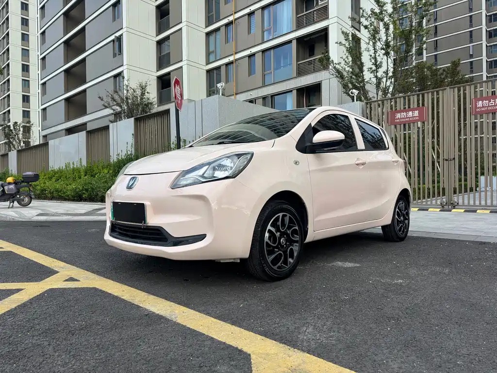 2022 Changan Benni EC/EV - zdjęcie 1 z 23