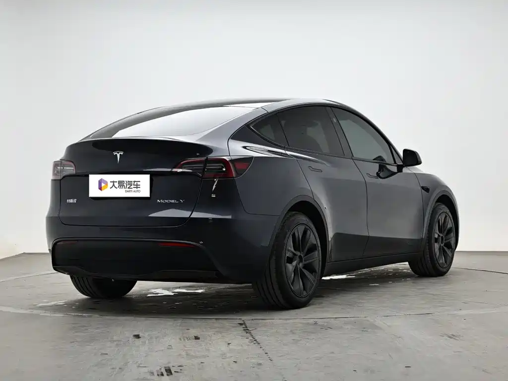 Tesla Model Y — миниатюра 3