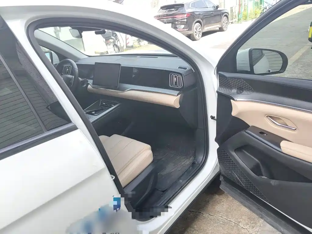 BYD Pro New Energy — миниатюра 18