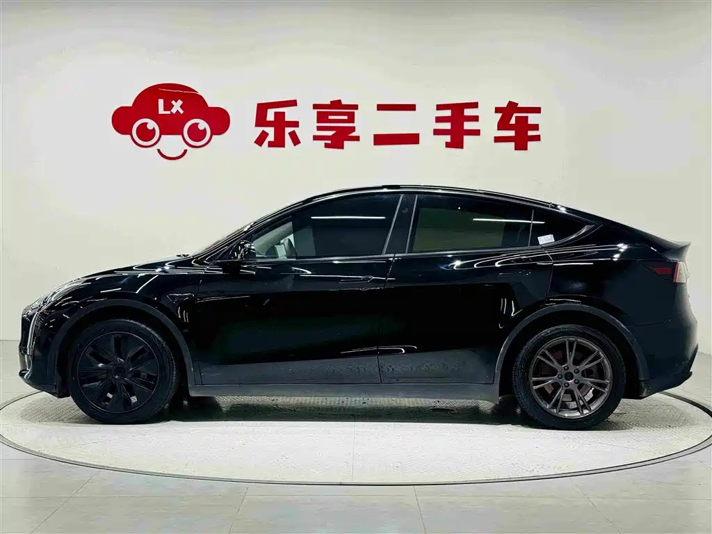 Tesla Model Y — миниатюра 2