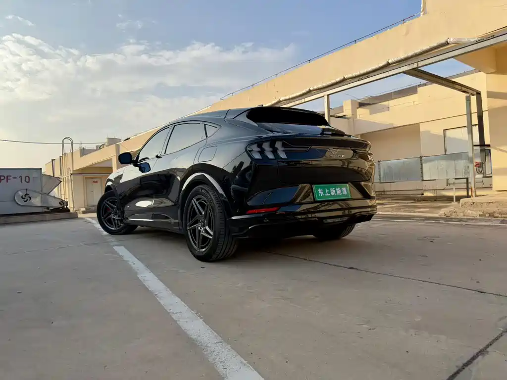 Ford Mustang Mach-E — миниатюра 9