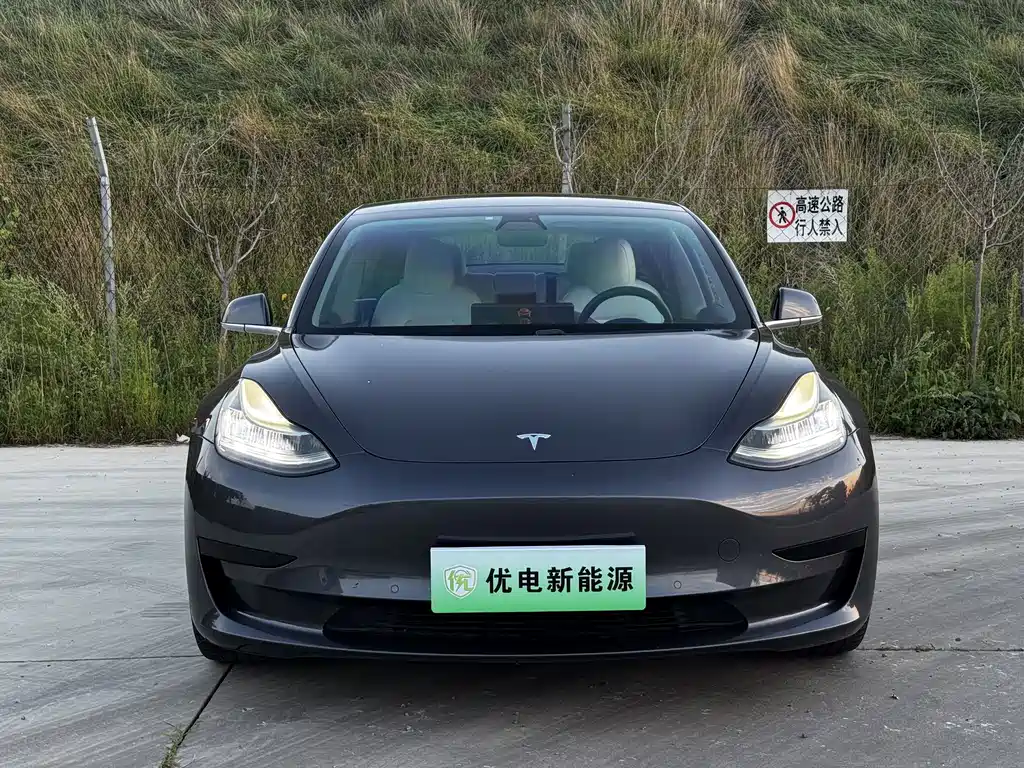 Tesla Model 3 — миниатюра 2