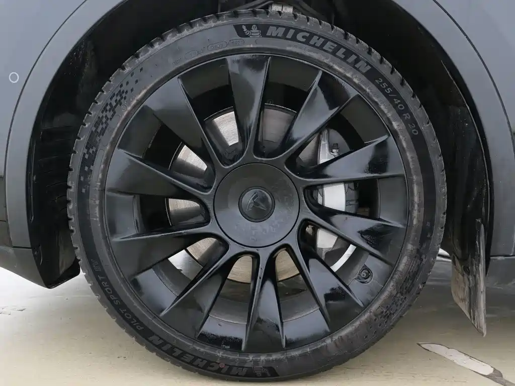 Tesla Model Y — миниатюра 5