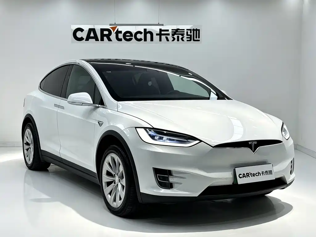 Tesla Model X — миниатюра 3