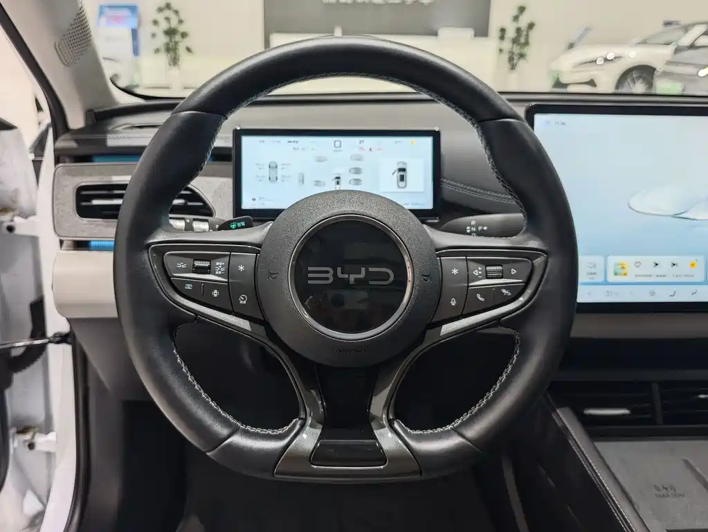 BYD Seal 06 DM-i Touring — миниатюра 9