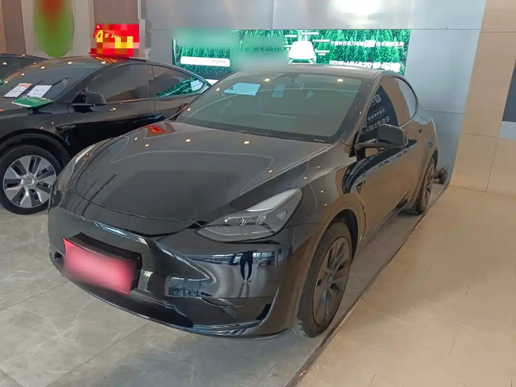 Tesla Model Y — миниатюра 2