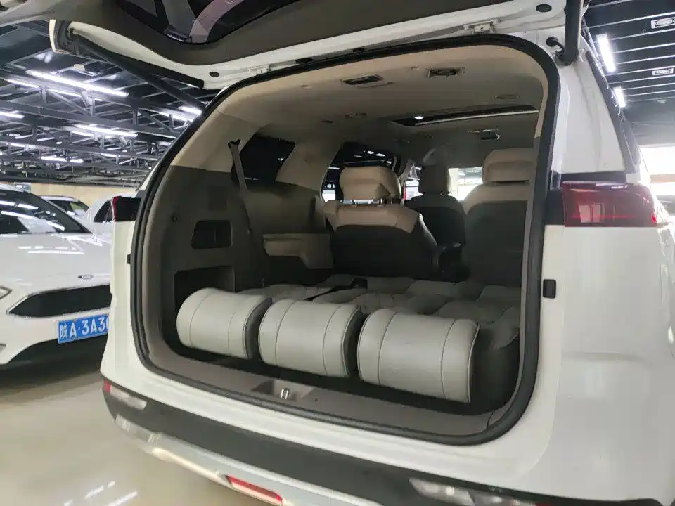Kia Carnival — миниатюра 6