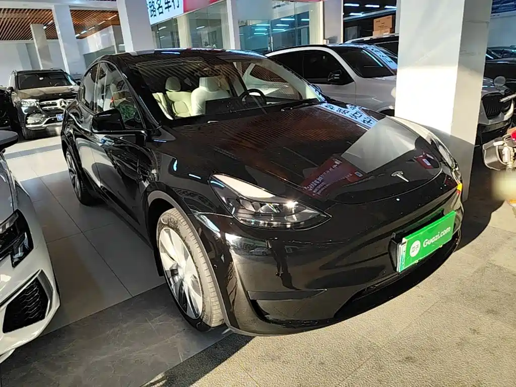 Tesla Model Y — миниатюра 4