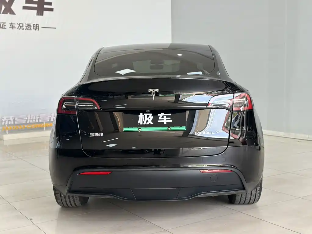 Tesla Model Y — миниатюра 5