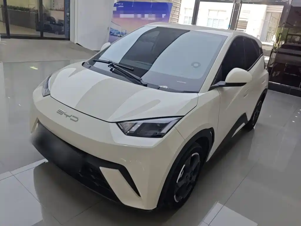 BYD Seagull 2023 Freedom