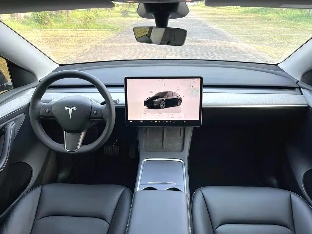 Tesla Model Y — миниатюра 4