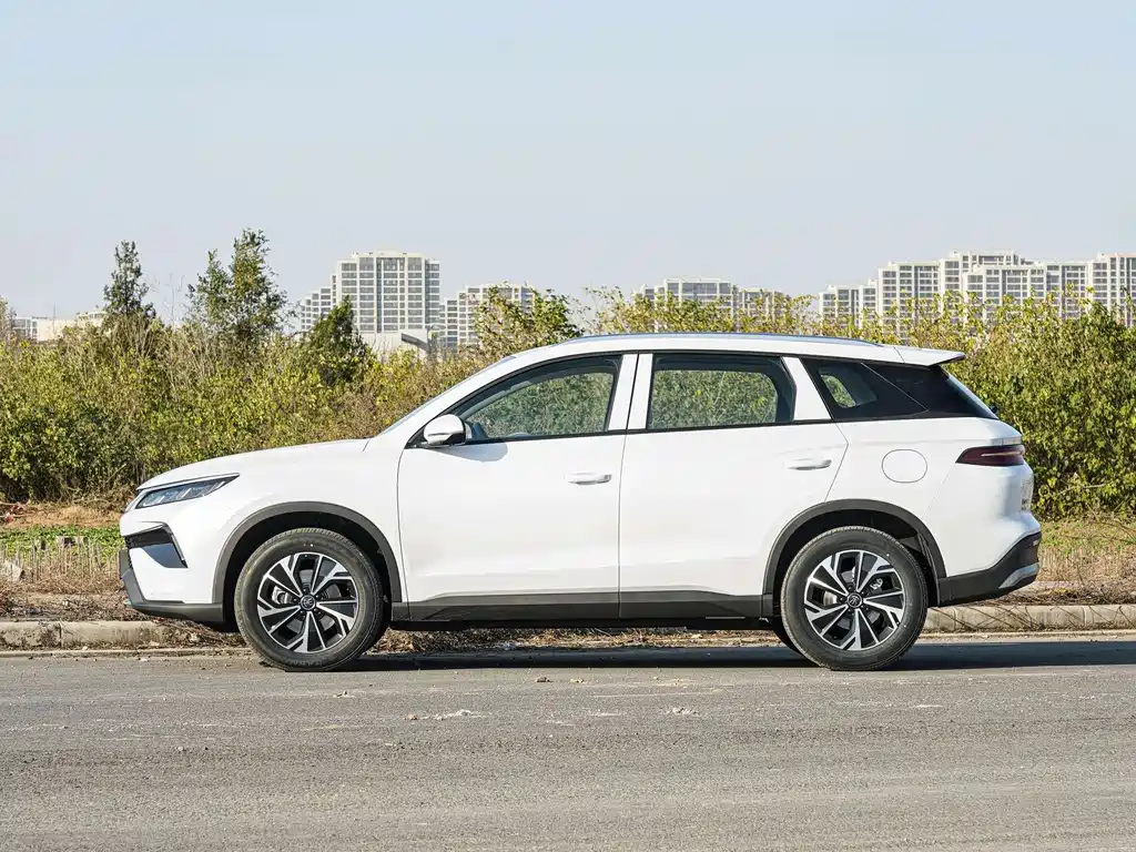 BYD Pro New Energy — миниатюра 5
